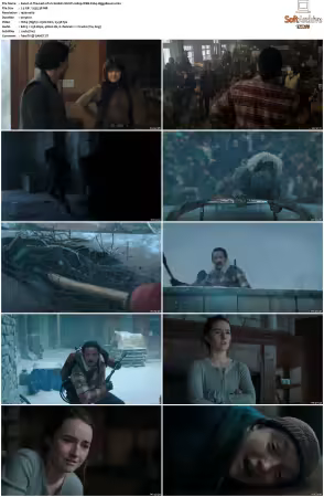 The Last of Us S02 MULTI 1080p WEB X264-HiggsBoson