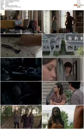 The Walking Dead S05 1080p BluRay AV1-XILEF