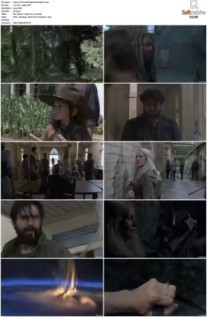 The Walking Dead S09 1080p BluRay AV1-XILEF