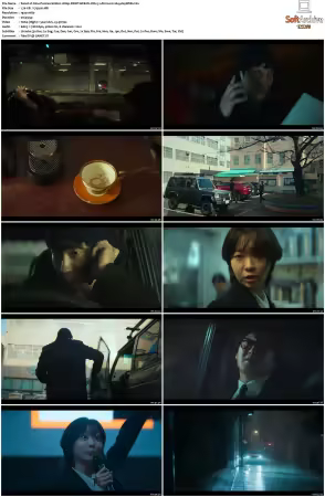 Nine Puzzles S01 1080p DSNP WEB-DL DD+5 1 Atmos H264-playWEB