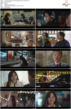 Business Proposal S01 1080p NF WEB-DL DDP2 0 H264-PrimeFix