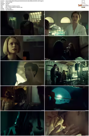 Orphan Black S02 1080p WEBRip 10Bit DDP2.0 HEVC-d3g