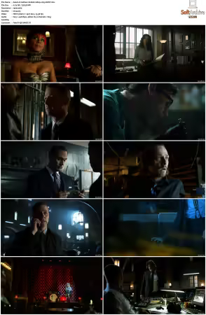 Gotham S01 1080p x265-ZMNT