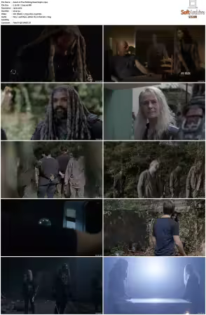 The Walking Dead S09 1080p BluRay AV1-XILEF