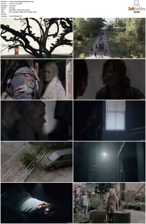 The Walking Dead S09 1080p BluRay AV1-XILEF