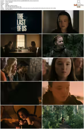 The Last of Us S02 720p AMZN WEB-DL DDP5 1 Atmos H264-FLUX