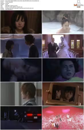 BOYS OVER FLOWERS S02 1080p VIKI WEB-DL AAC2 0 H 264-MrHulk