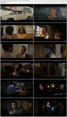 Assault on Precinct 13 1976 MULTi 1080p BluRay REMUX AVC DTS-HD MA 5.1-MR