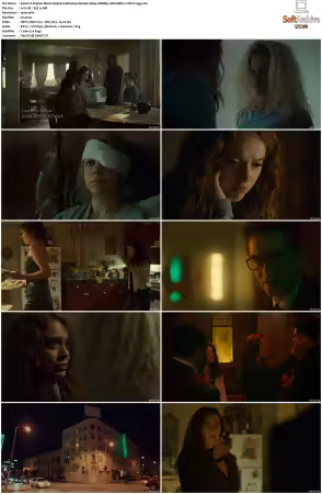 Orphan Black S05 1080p WEBRip 10Bit DDP2.0 HEVC-d3g