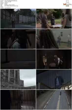 The Walking Dead S09 1080p BluRay AV1-XILEF