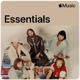The Beach Boys - Essentials (2025)