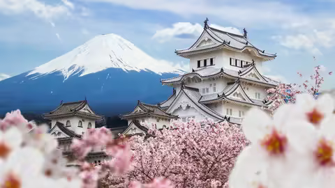 Japanese From Zero (All Lessons Jlpt N5)