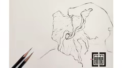 Jzen: The Art Of Line