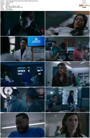 The Resident S06 1080p WEBRip 10Bit DDP5.1 HEVC-d3g