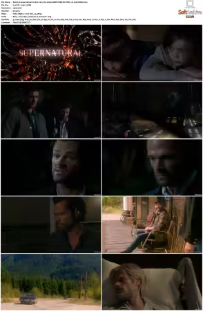 Supernatural S15 1080p AMZN WEB-DL DDP5.1 H264-WADU