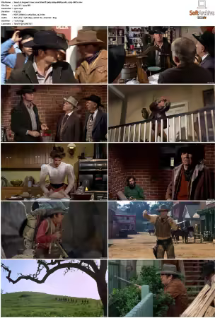 Support Your Local Sheriff 1969 1080p BRRip AAC x265-XBiTs
