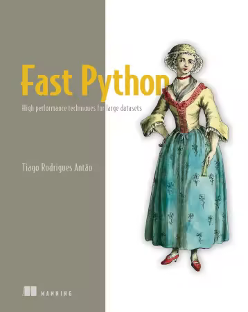 Fast Python: High performance techniques for large datasets (Audiobook)