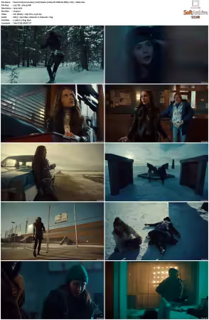 Wynonna Earp 2016 S04 1080p NF WEB-DL DDP5.1 AV1-Vialle