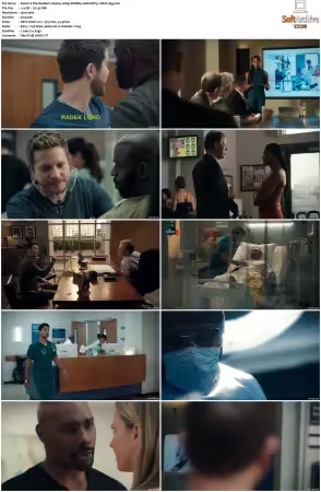 The Resident S03 1080p WEBRip 10Bit DDP5.1 HEVC-d3g