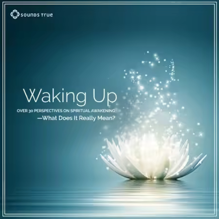Waking Up - Over 30 Perspectives on Spiritual Awakening (Audiobook)