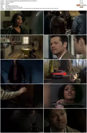 Supernatural S15 1080p AMZN WEB-DL DDP5.1 H264-WADU