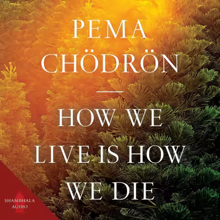 How We Live Is How We Die (Audiobook)