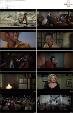 Blazing Saddles 1974 1080p BDRip DTS H264-PoPCoRn