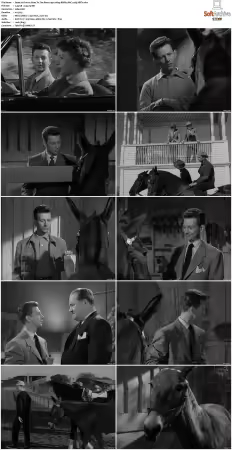 Francis Goes To The Races 1951 1080p BRRip AAC x265-XBiTs