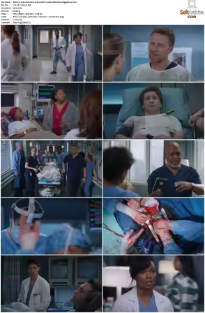 Greys Anatomy S21 MULTI 1080p WEB H264-SCENE