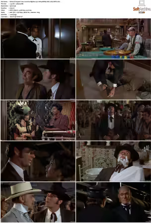 Support Your Local Gunfighter 1971 1080p BRRip AAC x265-XBiTs