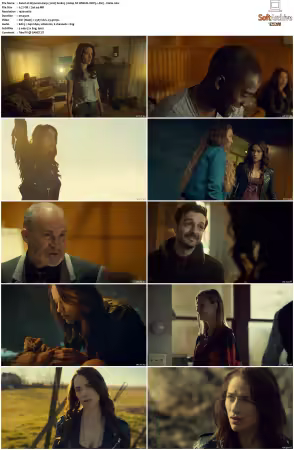 Wynonna Earp 2016 S01 1080p NF WEB-DL DDP5 1 AV1-Vialle