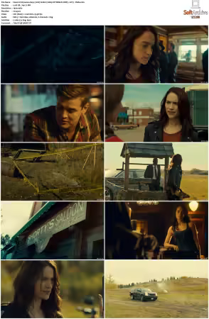 Wynonna Earp 2016 S01 1080p NF WEB-DL DDP5 1 AV1-Vialle