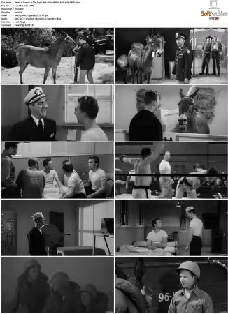 Francis In The Navy 1955 1080p BRRip AAC x265-XBiTs