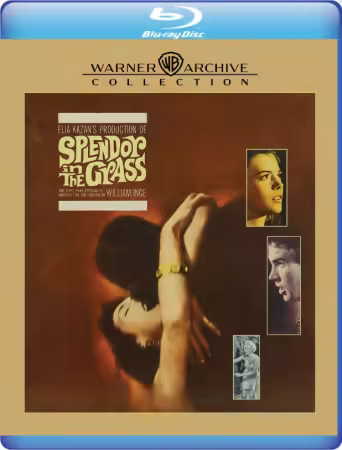 Splendor In The Grass 1961 1080P Bluray X264-BitSa