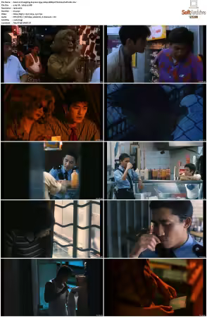 Chungking Express 1994 1080p BDRip DTS H264-PoPCoRn