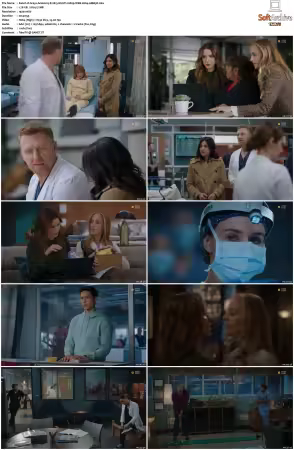 Greys Anatomy S21 MULTI 1080p WEB H264-SCENE