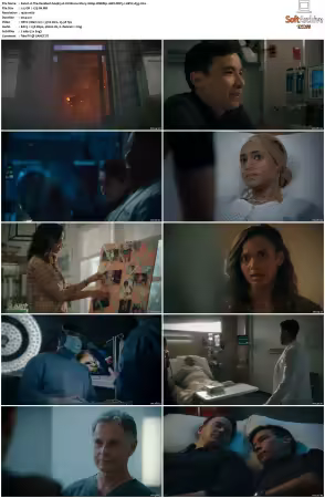 The Resident S04 1080p WEBRip 10Bit DDP5.1 HEVC-d3g