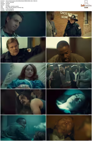 Wynonna Earp 2016 S01 1080p NF WEB-DL DDP5 1 AV1-Vialle