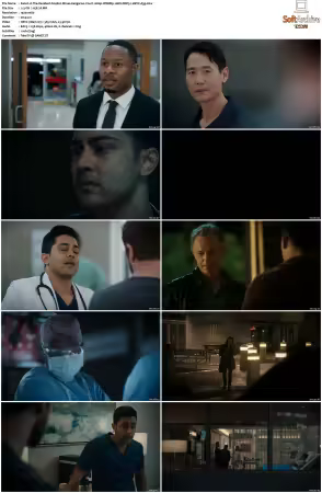 The Resident S04 1080p WEBRip 10Bit DDP5.1 HEVC-d3g