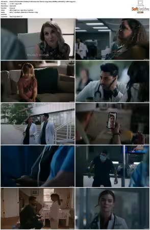 The Resident S06 1080p WEBRip 10Bit DDP5.1 HEVC-d3g