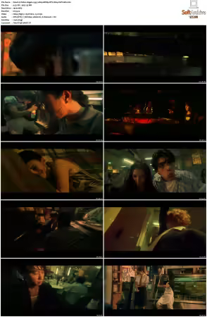 Fallen Angels 1995 1080p BDRip DTS H264-PoPCoRn