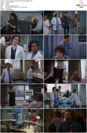 Greys Anatomy S21 MULTI 1080p WEB H264-SCENE