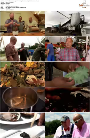 Bizarre Foods S13 1080p WEB-DL AAC2 0 x264