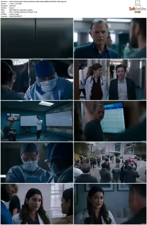 The Resident S06 1080p WEBRip 10Bit DDP5.1 HEVC-d3g