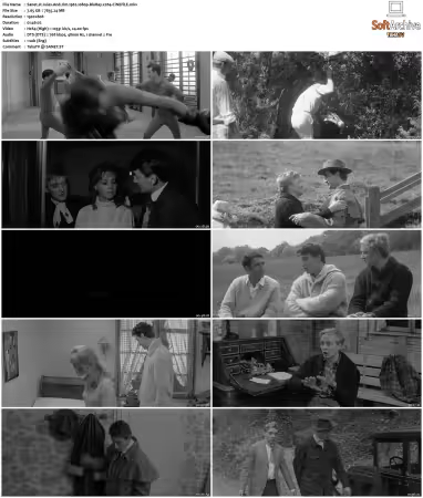 Jules And Jim 1962 1080p BluRay x264-CiNEFiLE