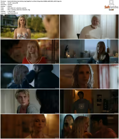 We Were Liars S01 1080p WEBRip 10Bit DDP5 1 HEVC-d3g