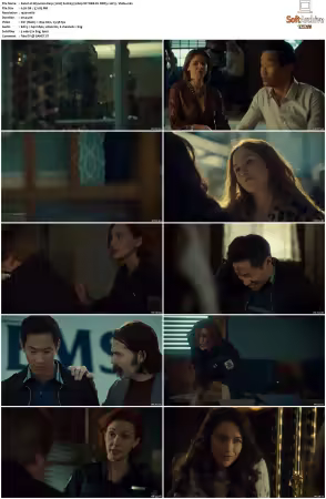 Wynonna Earp 2016 S02 1080p NF WEB-DL DDP5.1 AV1-Vialle