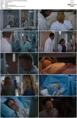 Greys Anatomy S21 MULTI 1080p WEB H264-SCENE