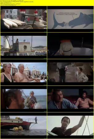 Jaws 1975 1080p BluRay x264-BitSa