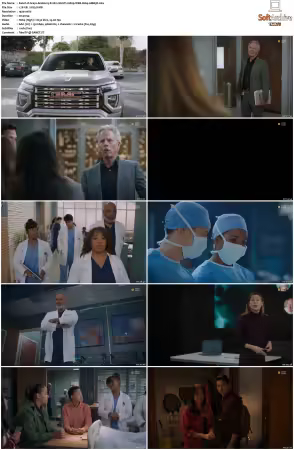 Greys Anatomy S21 MULTI 1080p WEB H264-SCENE